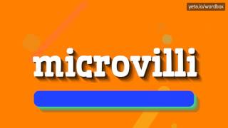 MICROVILLI  HOW TO PRONOUNCE IT [upl. by Skip439]