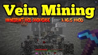 Minecraft 1165  Vein Mining mod [upl. by Schafer]