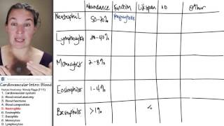 Blood 5 Neutrophils [upl. by Harlie]