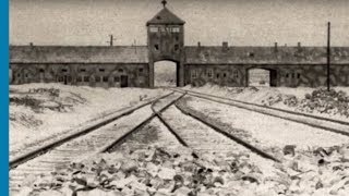 Architecture of Murder The AuschwitzBirkenau Blueprints [upl. by Indyc]