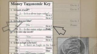 Dichotomous Key Tutorial [upl. by Tavia435]