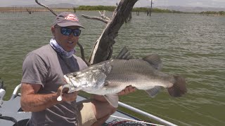 How To Catch Freshwater Barramundi  Welcome To Fishing [upl. by Eloken206]