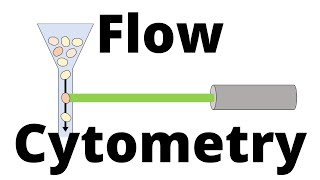 FLOW CYTOMETRY in 1 minute [upl. by Ileak959]