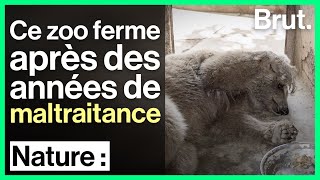 Maltraitance animale  le zoo de Marghazar ferme ses portes [upl. by Orsini]