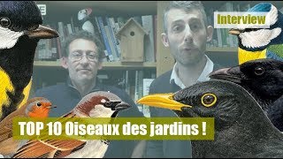 TOP 10 oiseaux des jardins [upl. by Leirbma]