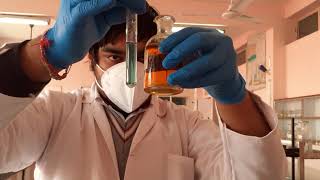 Test for SULPHITE ion  Anion Analysis class 11 and 12 chemistry practicals NEETJEE 2025 [upl. by Koziarz]