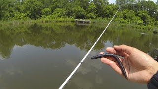 How To Fish a Senko for Bass by 1Rod1ReelFishing [upl. by Sulrac]