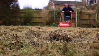 Lawn Scarification  Correct Scarification Procedure [upl. by Einaeg]