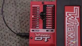 DigiTech Whammy DT Pitch Shifter Pedal  Digitech Whammy DT [upl. by Waynant]