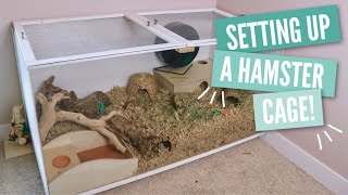 How to Setup a Hamster Cage [upl. by Reich]