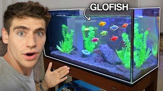 NEW GLOFISH AQUARIUM [upl. by Rehprotsirhc]