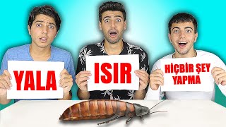 ISIRYALA VEYA HİÇBİR ŞEY YAPMA CHALLENGE  🤮 [upl. by Rhianna441]