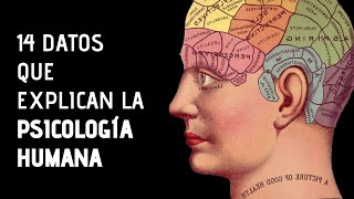 14 Curiosidades Sobre La Psicología [upl. by Eitsyrc]