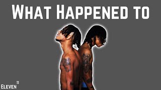 What Happened to Rae Sremmurd [upl. by Oidacra200]