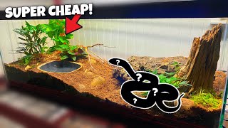 Corn Snake Setup CHEAP AND EASY [upl. by Neeruam933]