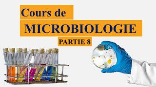 cours de microbiologie partie 8  la morphologie générale dune bactérie  les formes des bactéries [upl. by Onaicilef860]