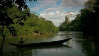 Stranger in the Forest quotFirst Contactquot in the Amazon [upl. by Malas]