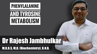 4 Phenylalanine and tyrosine metabolism [upl. by Kleinstein]