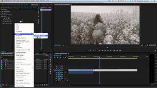 Premiere Tutorial Old Movie Effect in Adobe Premiere [upl. by Lashoh674]