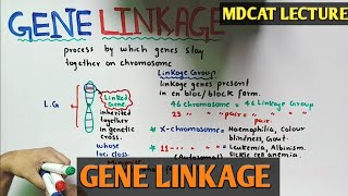 Gene Linkage  Recombination  NMDCAT 2021 [upl. by Carrelli]