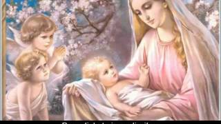 Ave Maria Latin lyrics w English translation [upl. by Allsun]