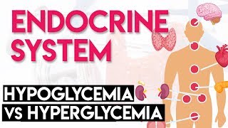 What is hypoglycemia  DiaBiteSize [upl. by Felipe]