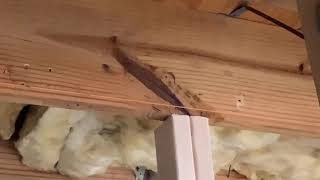 Floor Joist Repair Video [upl. by Moya]