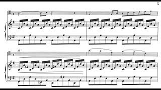 SaintSaëns  The Swan piano accompaniment [upl. by Chemesh]