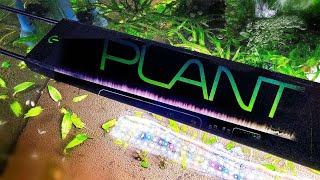 Ultimate Guide to the Fluval Plant 30 LED Aquarium Light  Part 1 [upl. by Atina]