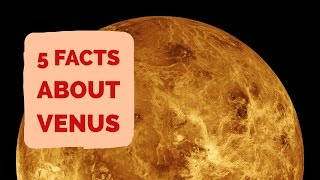 Facts About Venus  5 Facts About The Planet Venus [upl. by Neelahs]