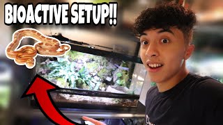 40GAL Bioactive Cornsnake setup DIY [upl. by Drud256]