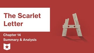 The Scarlet Letter  Chapter 14 Summary and Analysis  Nathaniel Hawthorne [upl. by Bibbye961]