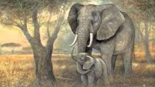 Saint Saens Carnival of the AnimalsLElephant The Elephant [upl. by Savart]