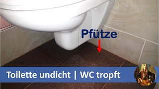 Toilette undicht  WC tropft [upl. by Yenor]