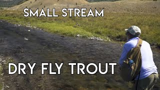 Small Stream Dry Fly Nirvana  Dubois Wyoming [upl. by Ykcul]