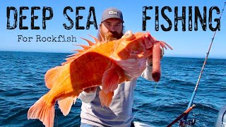 Underwater View of Catching MASSIVE Channel Islands Rockfish [upl. by Phillipe866]