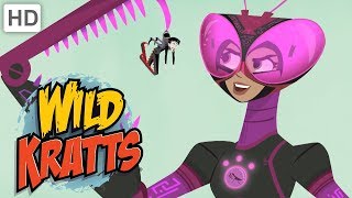 Wild Kratts 💪 Activate Tough Insect Powers  Kids Videos [upl. by Haim532]