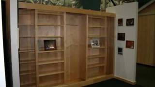 The BEST Bookcase Murphy Bed [upl. by Elesig509]