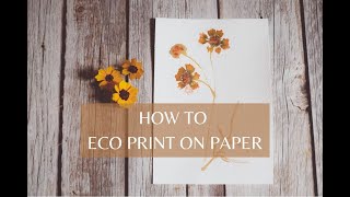 HOW TO ECO PRINT ON PAPER  THE SECRET TO CLEAR PRINTS  BOTANICAL PRINTING  NATURAL DYE [upl. by Floyd]