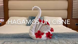 ANIMALES DE TOALLA 1  Tortuga Elefante Cisne  DIY Tutorial [upl. by Iggie]