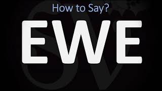 How to Pronounce Ewe CORRECTLY [upl. by Aliber]