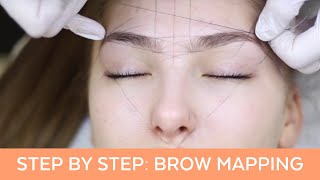 Brow Mapping Step By Step Training [upl. by Yema]