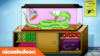 Sanjay and Craig  Official Theme Song  Nick [upl. by Tingey]