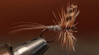 Adams Dry Fly [upl. by Aver]