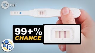 How Do Pregnancy Tests Work [upl. by Atarman135]