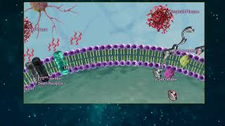 Amyloid Beta Processing [upl. by Rayburn624]