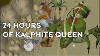 24 Hours of Kalphite Queen [upl. by Snapp]