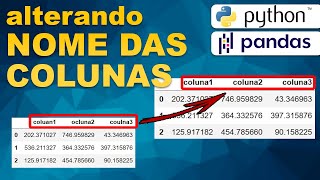 Python PANDAS  Como alterar o nome das colunas [upl. by Gardia]