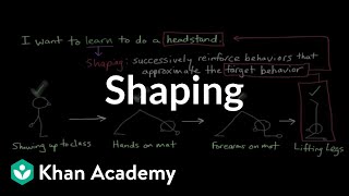 Operant conditioning Shaping  Behavior  MCAT  Khan Academy [upl. by Anaiq415]