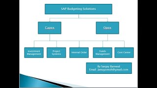 Funds Management and Investment Management Solutions in SAP [upl. by Rhodes]